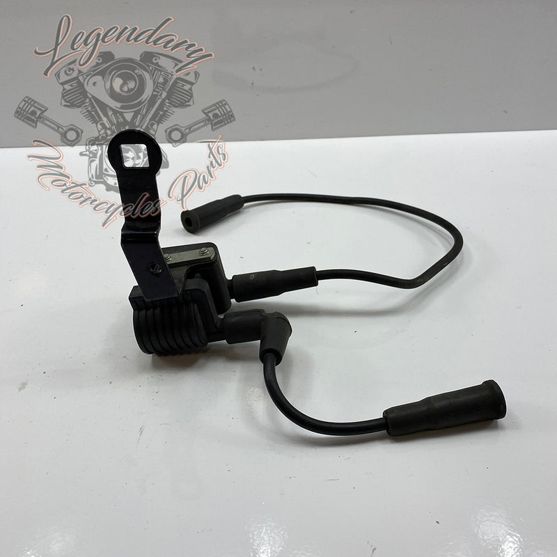 Bobina di accensione OEM 31656-07