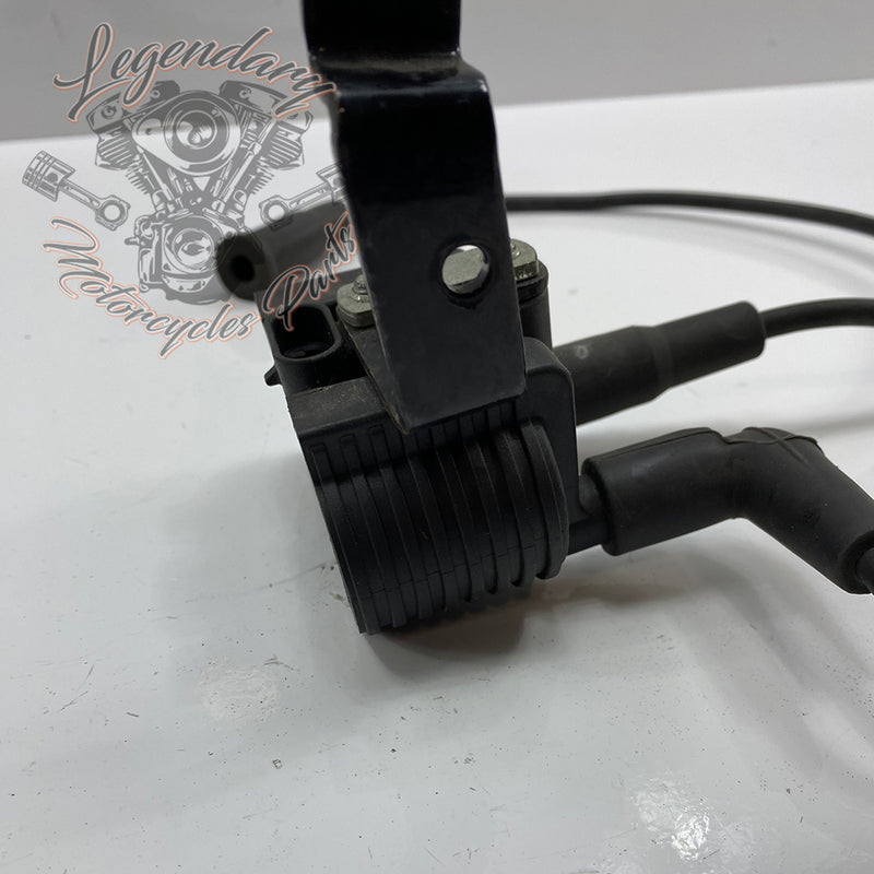 Ignition Coil OEM 31656-07