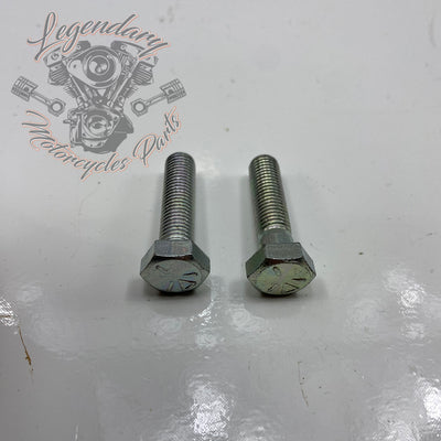 Screw OEM 4014W