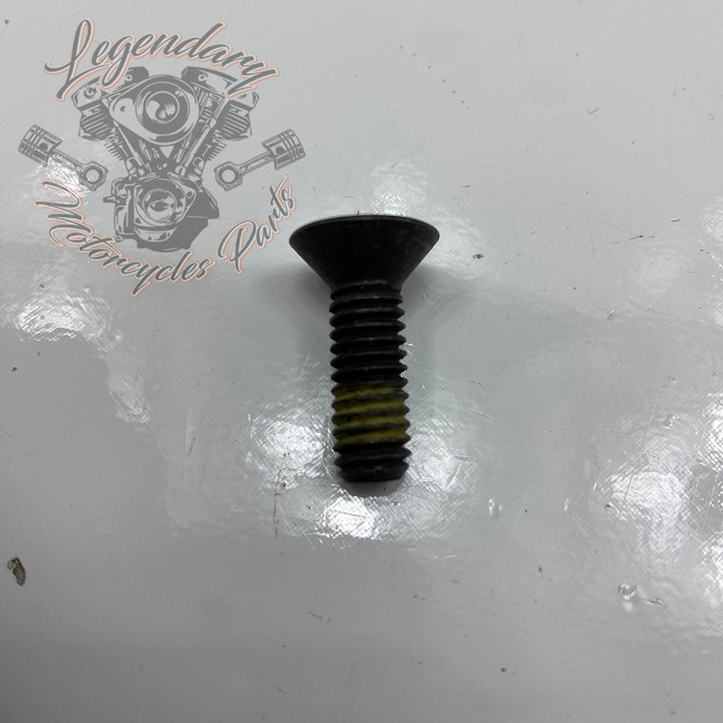 Parafuso torx de extremidade do eixo secundário OEM 3675