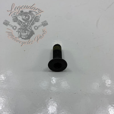 Secondary shaft end torx screw OEM 3675