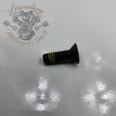 Tornillo Torx de extremo de árbol secundario OEM 3675