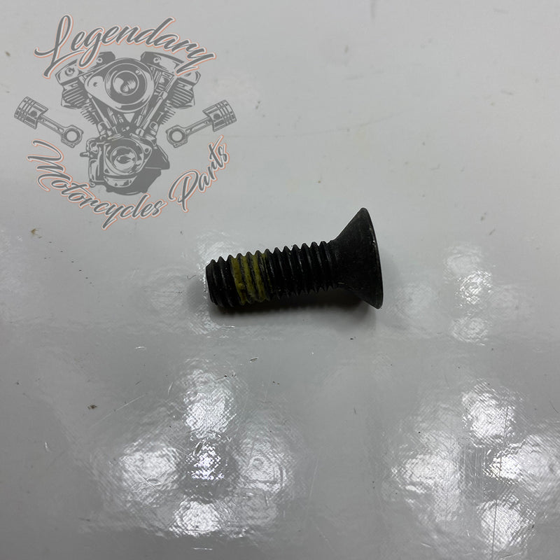 Secondary shaft end torx screw OEM 3675