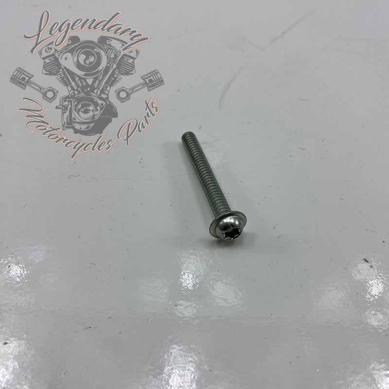 Caché Risers Screw OEM 3666A