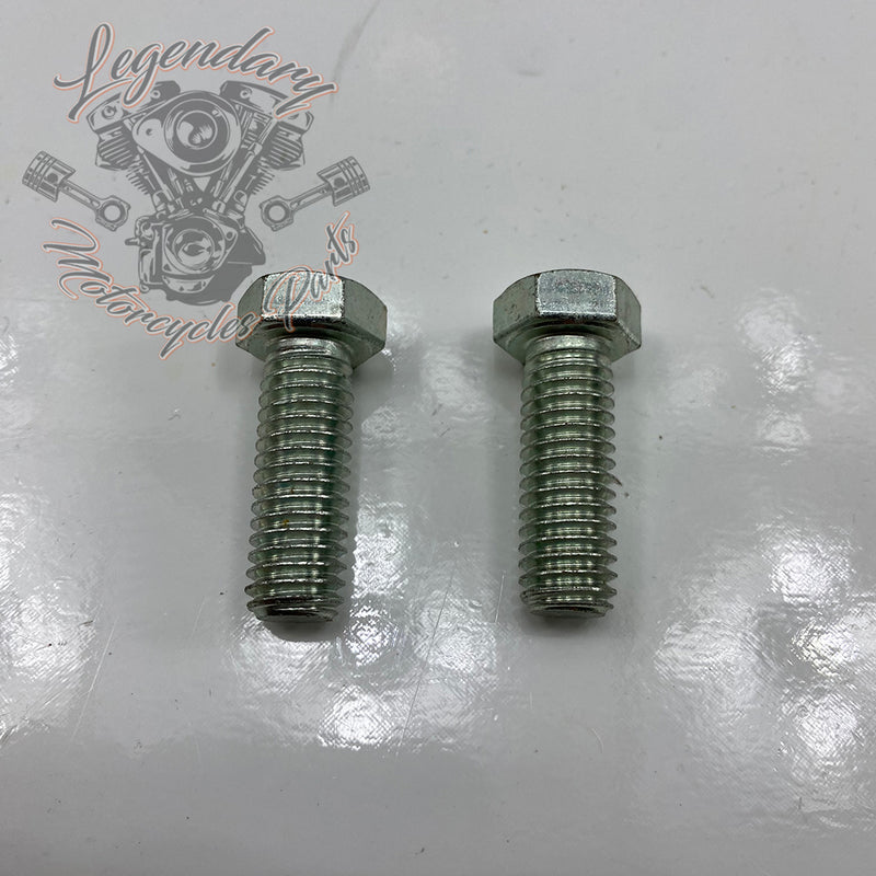 Passenger footrest support screw OEM 3782