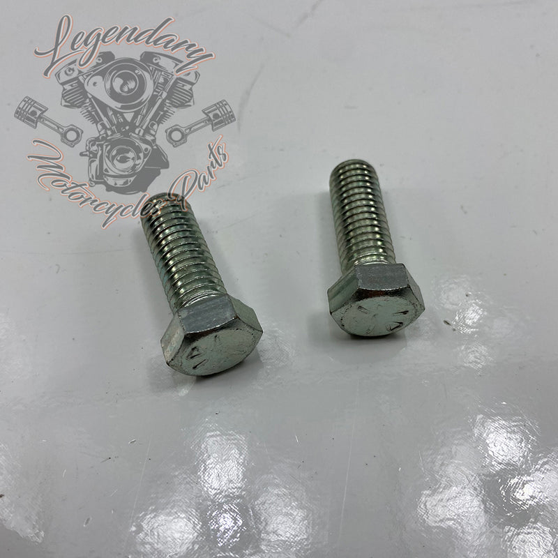 Passenger footrest support screw OEM 3782