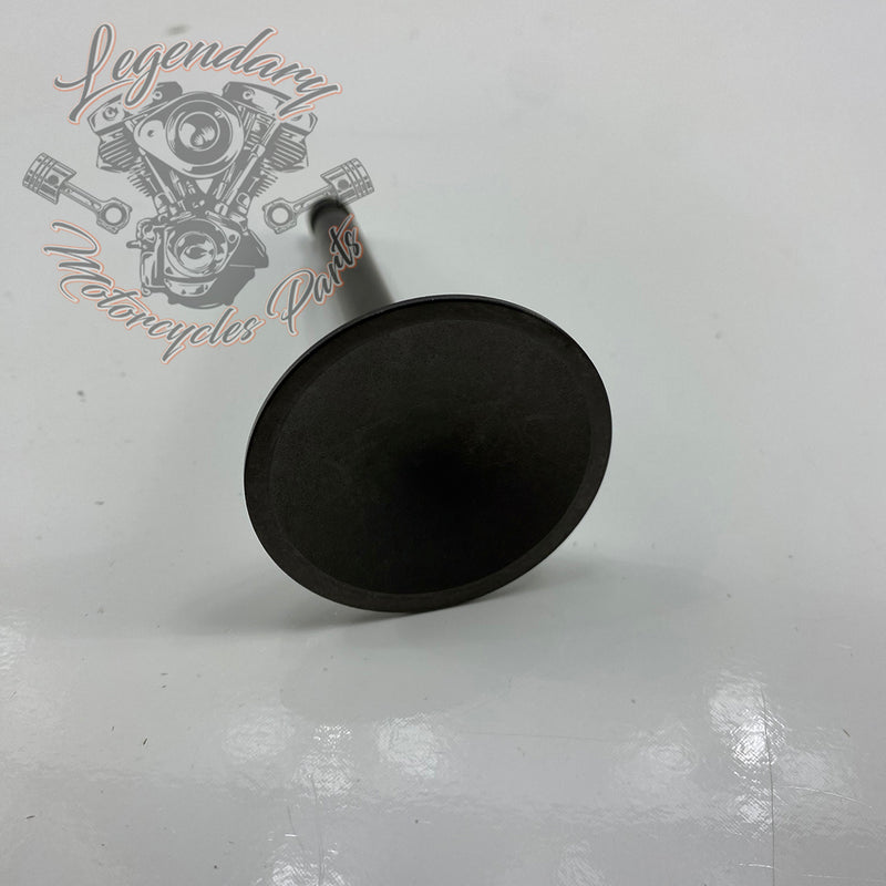 Intake Valve OEM 18075-81