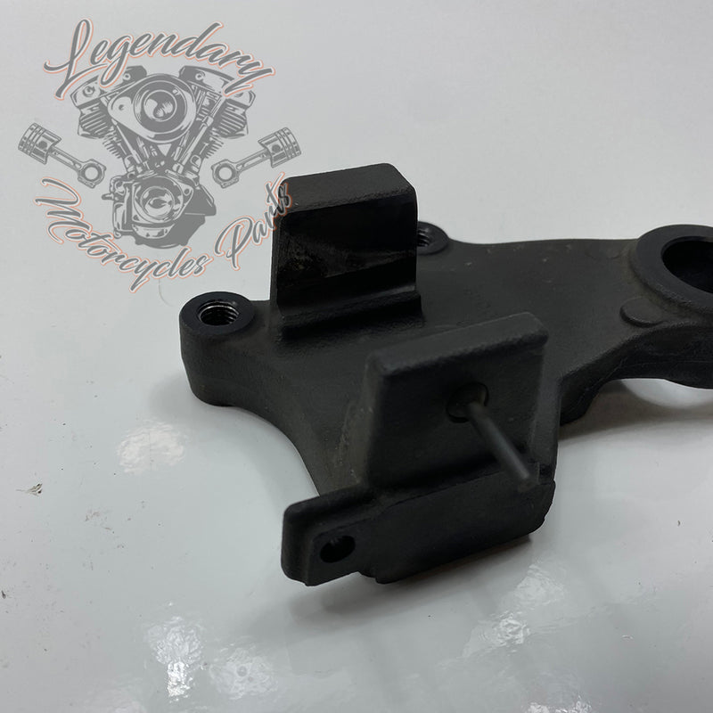 Rear Brake Caliper Support OEM 41300049