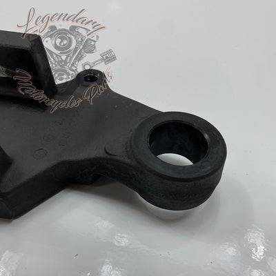 Rear Brake Caliper Support OEM 41300049