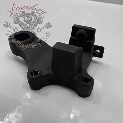 Rear Brake Caliper Support OEM 41300049