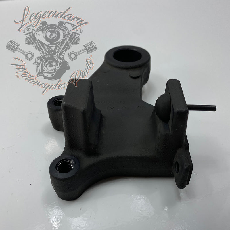 Rear Brake Caliper Support OEM 41300049