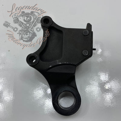 Rear Brake Caliper Support OEM 41300049