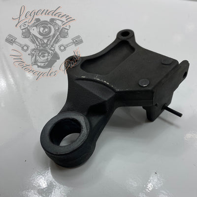 Rear Brake Caliper Support OEM 41300049