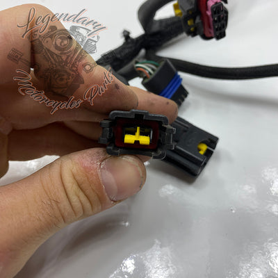 Fuel injection harness OEM 69200077