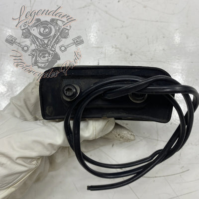 License Plate Light OEM 67900172