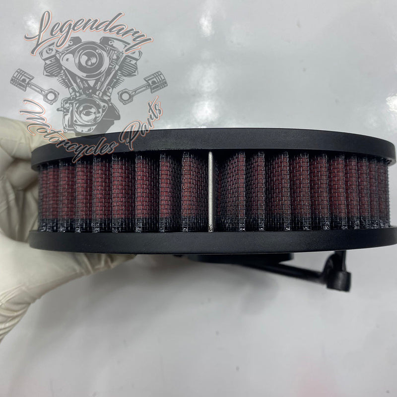 Filtro de aire OEM 29000154