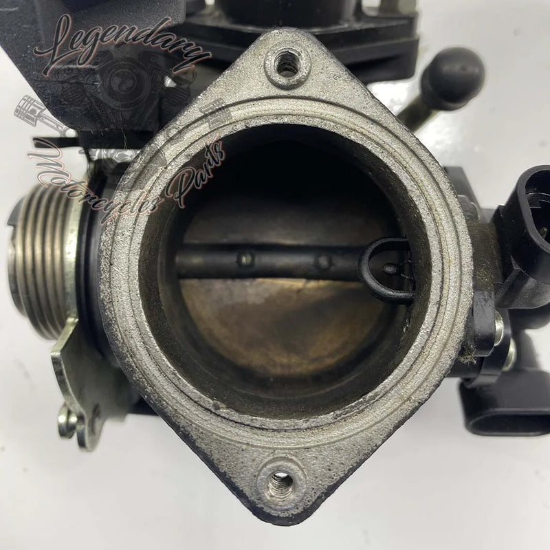 Throttle Body OEM 27603-01