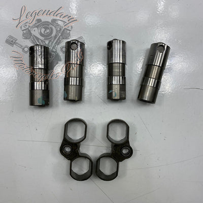 Spingenti idraulici OEM 18538-99C