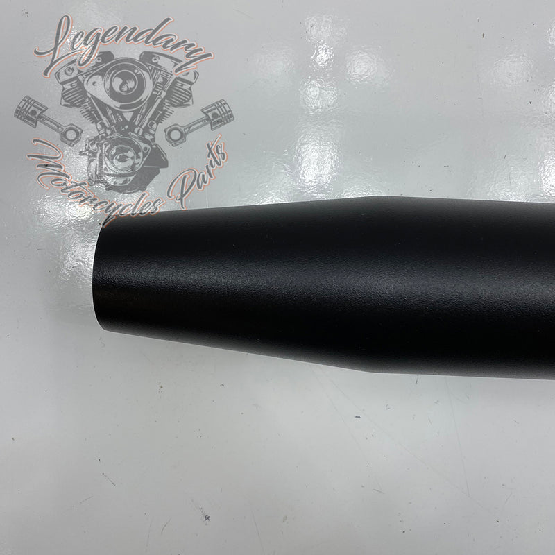 Silencer OEM 64900291