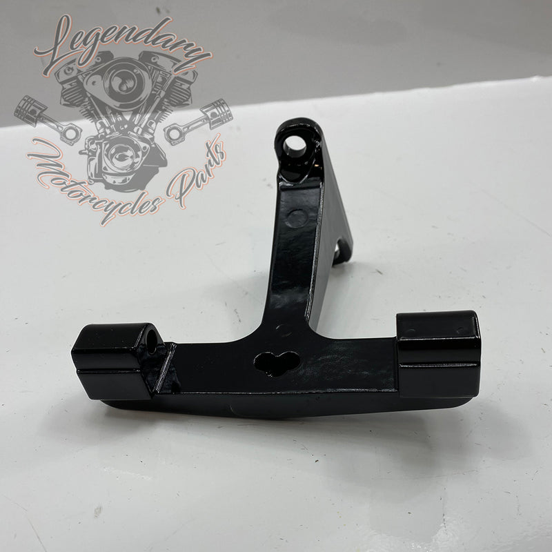 Passenger Footpeg Kit OEM 50379-07B