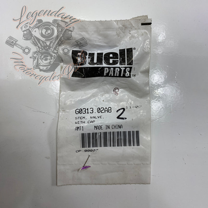 Valvola del cerchio anteriore/posteriore OEM G0313.02A8