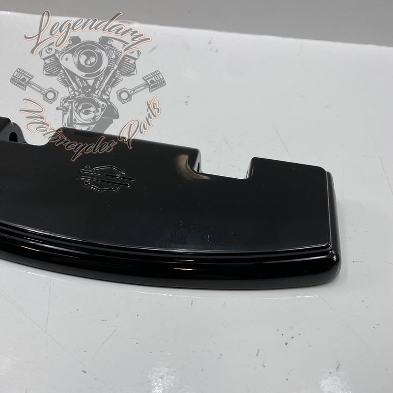 Passenger Footpeg Kit OEM 50379-07B