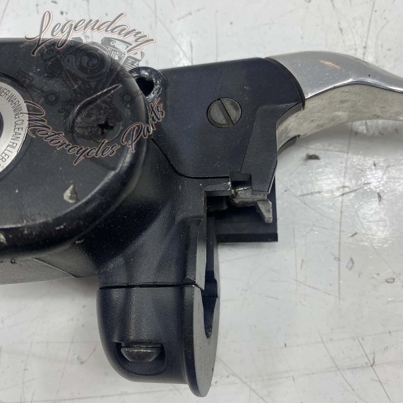 Front Brake Lever and Master Cylinder OEM 41700004