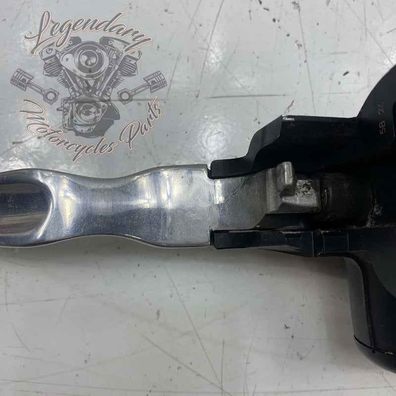 Front Brake Lever and Master Cylinder OEM 41700004