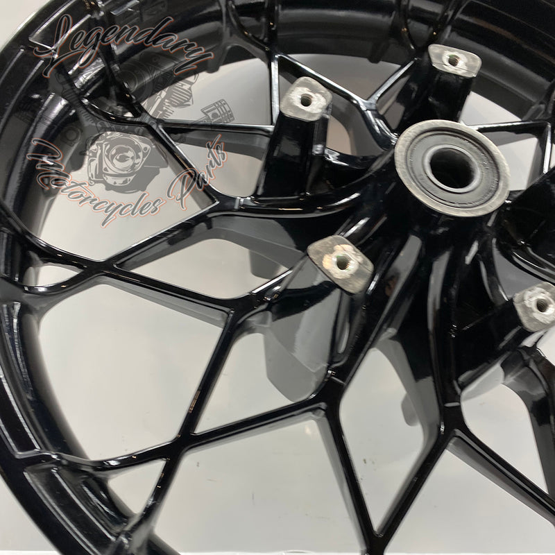 Rueda delantera 19" OEM 43300673