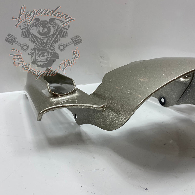 Rear Fender Extension OEM 59500107