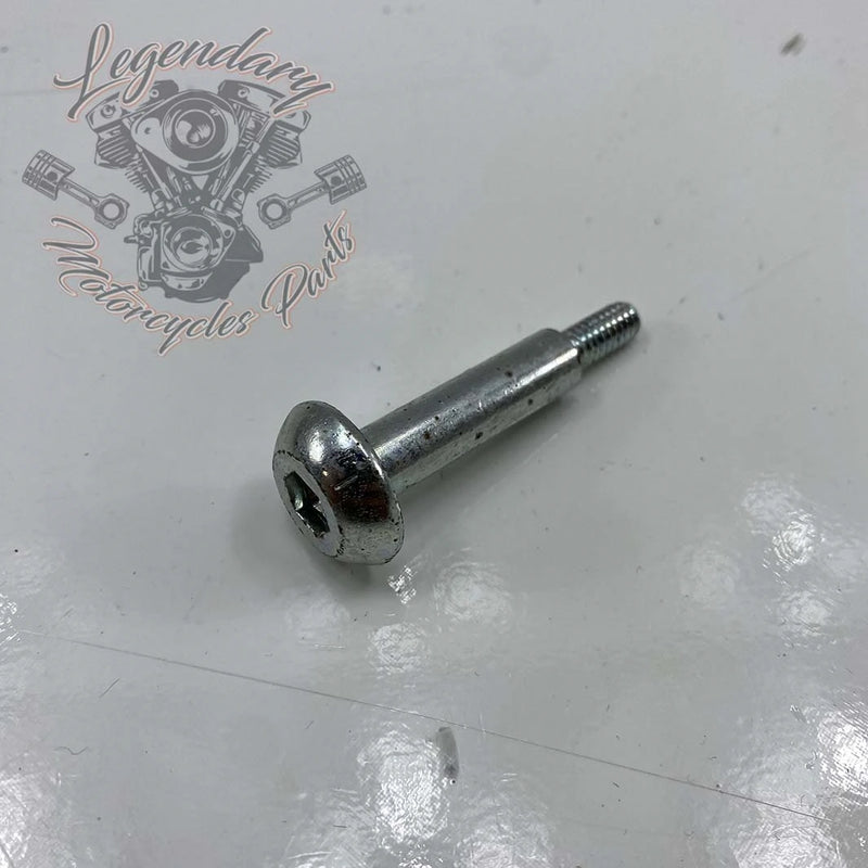 Vite per elemento filtrante OEM 893A