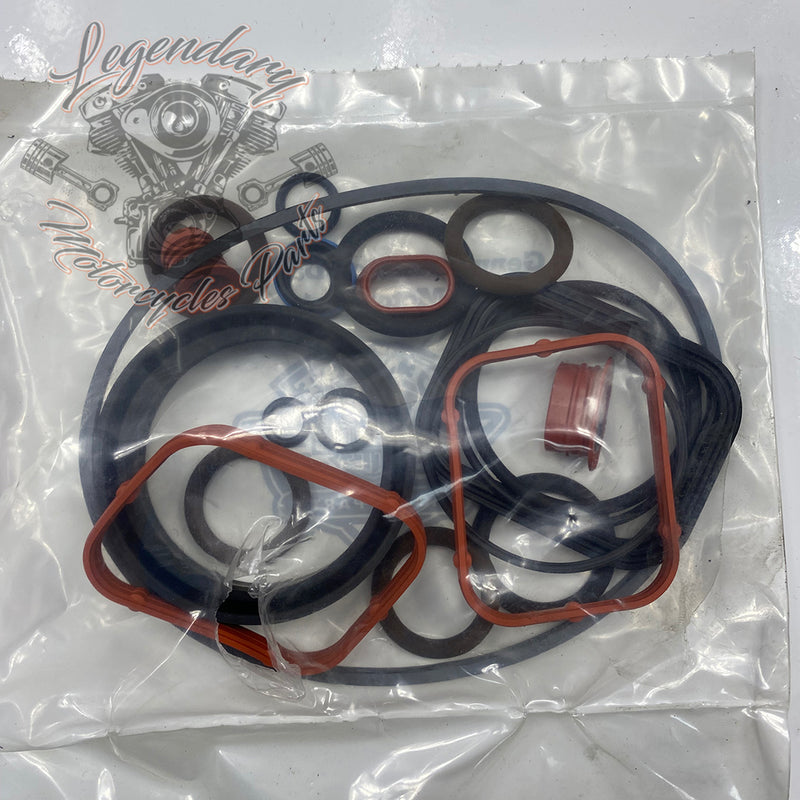 Kit di guarnizioni motore OEM 17027-04B