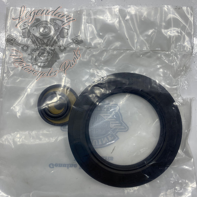 Kit di guarnizioni motore OEM 17027-04B