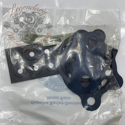 Kit de juntas do motor OEM 17027-04B