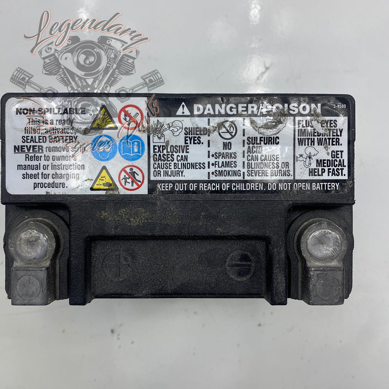 AGM Battery OEM 65948-00B