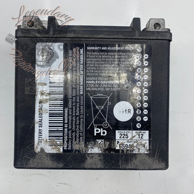 AGM Battery OEM 65948-00B