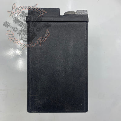 AGM Battery OEM 65948-00B