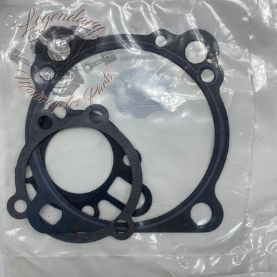 Kit di guarnizioni motore OEM 17026-91D