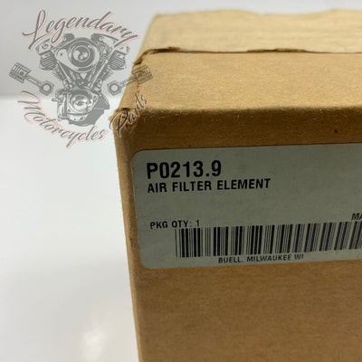 Elemento filtrante OEM P0213.9