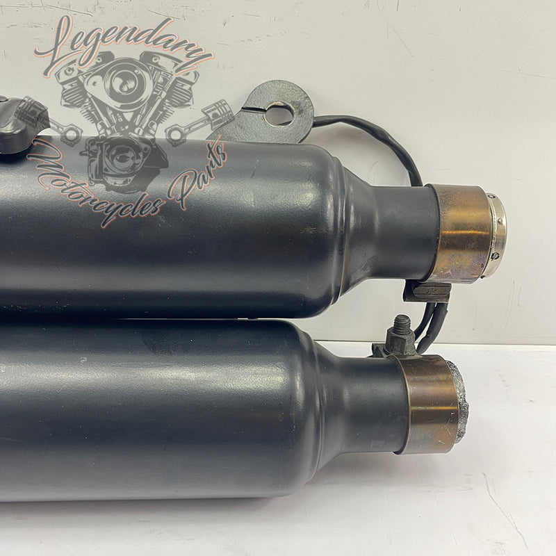 Pair of silencers