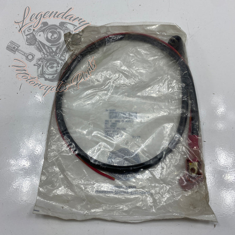 Positieve batterijkabel OEM Y0317.1AD